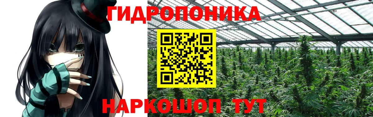 Канабис ГИДРОПОН Гусев